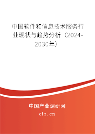 软件和信息技术服务行业趋势